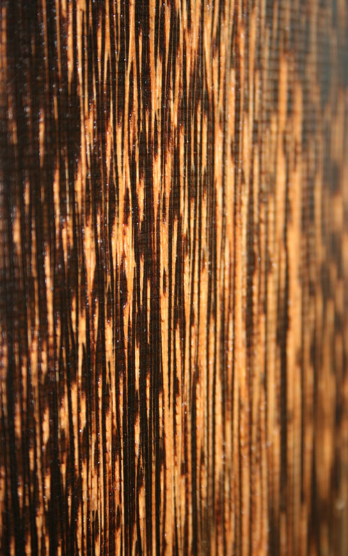 Essence de bois palmier precieuxetloupes Essarbois